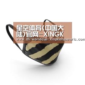 成人布口罩