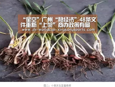 星空体育APP