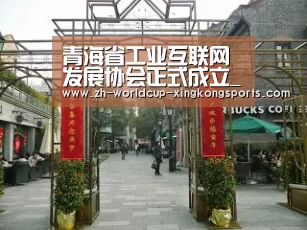 青海省工业互联网发展协会正式成立_星空官网(图2) 星空体育APP